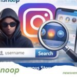 InSnoop: How Anonymous Instagram Story Viewing Works
